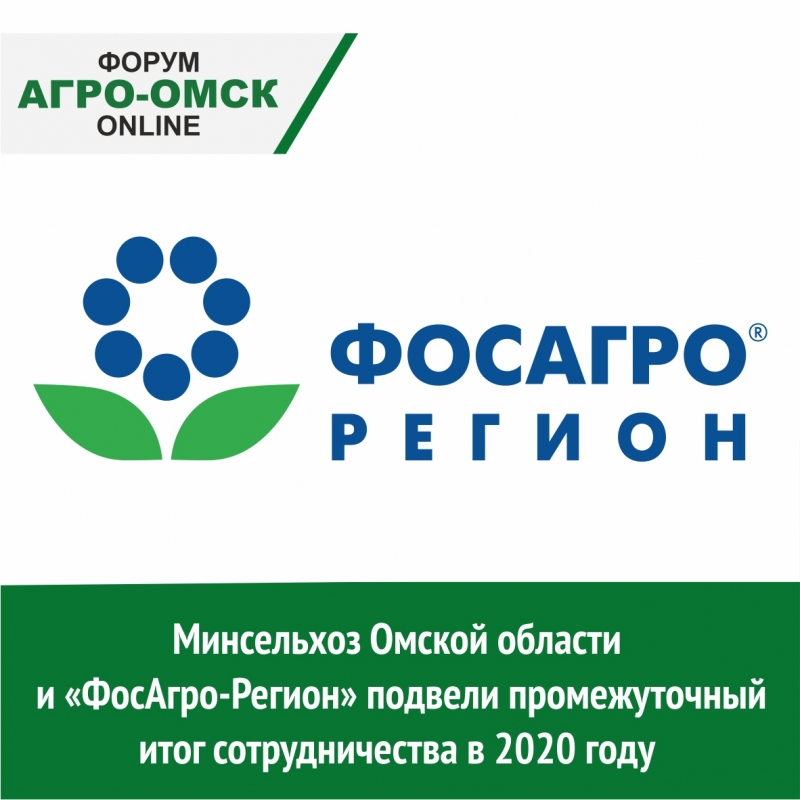Акции Фосагро Купить Цена